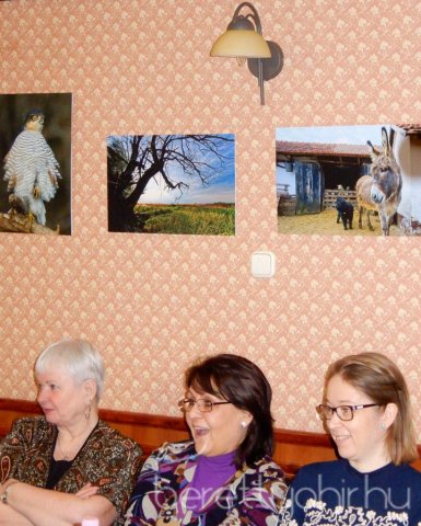 Bihari Fotóklub kiállítás 05